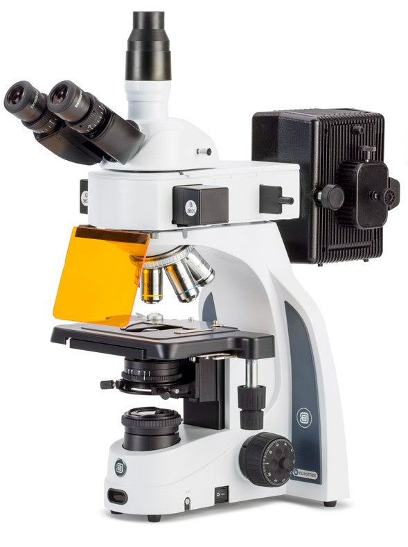 Euromex iScope Fluorescence Microscope