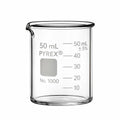 Scilabware PYREX low form beaker with spout